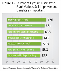 Percent of Gypsum Users Who Rank Various Soil Improvement Benefits as Important