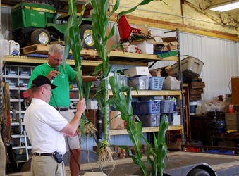 Jack Maloney (in green), Brownsburg, IN, describes the differences in the root system from a corn plant grown in fields where gypsum has been applied as part of his no-till system versus roots on a corn plant from a conventional field.  Assisting is Ron Chamberlain of Gypsoil.